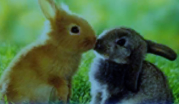 Test wiedzy z matematyki!