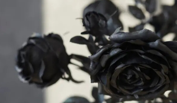 Moje ulubione cytatym, part 2……