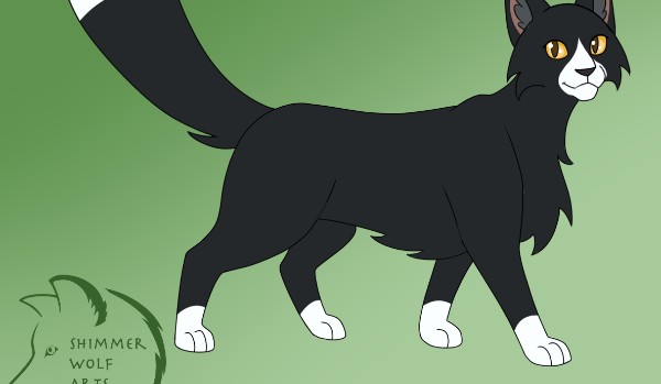 Ocena profilu Wojak._.