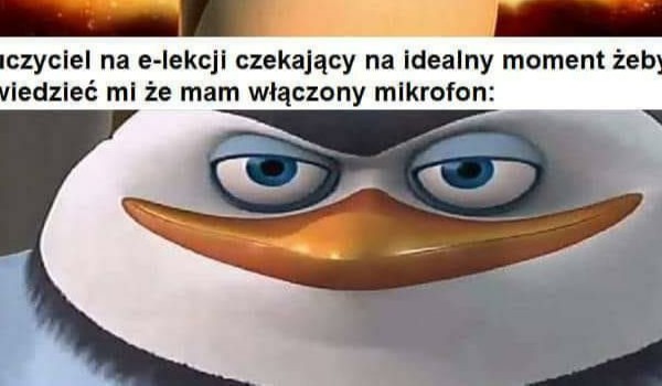 czy jesteś idiotą?