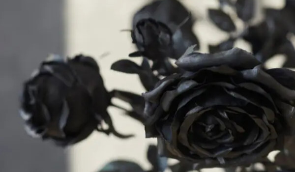 Moje ulubione cytaty part 3…..