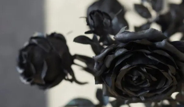 Moje ulubione cytaty part 5…..