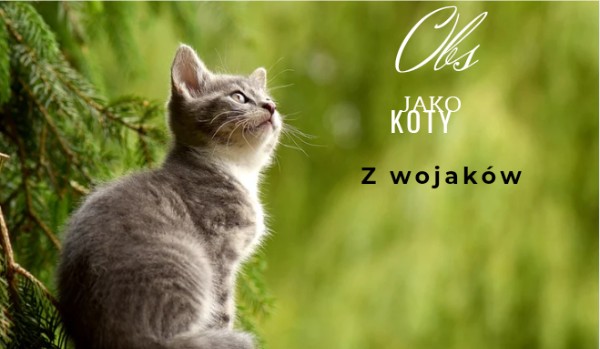 Obs jako koty z wojaków ShadowCloud