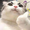 Natashaka2115