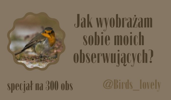 Jak wyobrażam sobie moich obserwujących? | @Birds_lovely