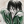 Gocha_