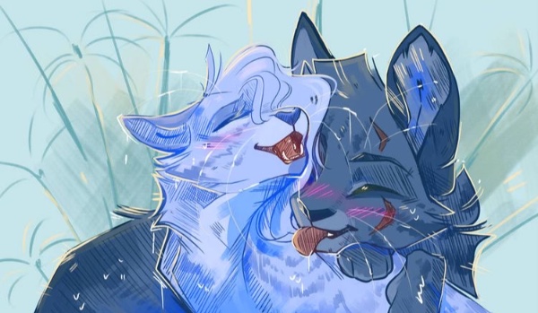 @Hverest jako kot z wojowników