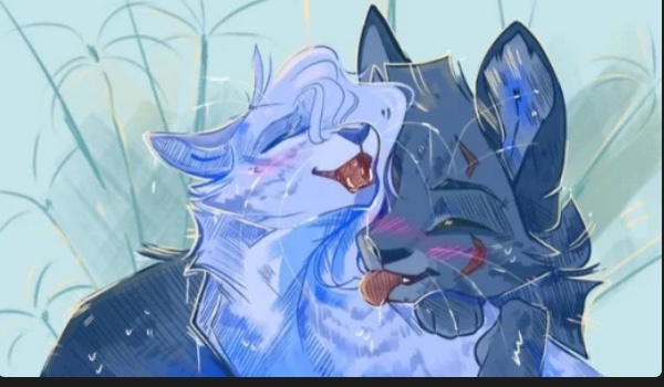 @Uru9 jako kot z wojowników