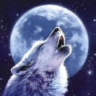 8Wonderfull_Night8
