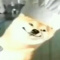 WotjtusSterownik