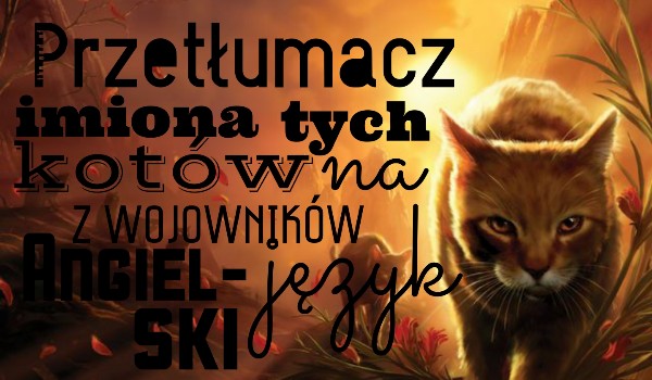 Przetłumacz imiona tych kotów z Wojowników na język Angielski
