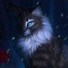 WarriorCats_Forever