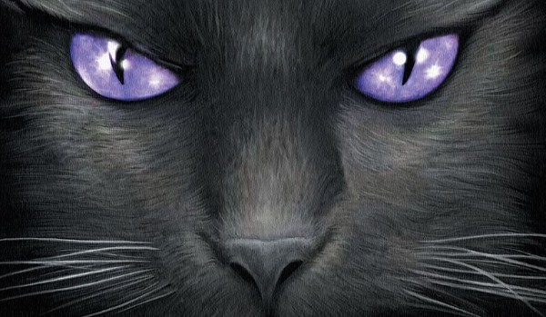 Purplestar’s life |Chapter 1|