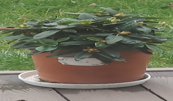 Młodzi tytani akcja quiz