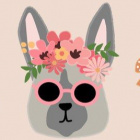 aesthetic_dog322432