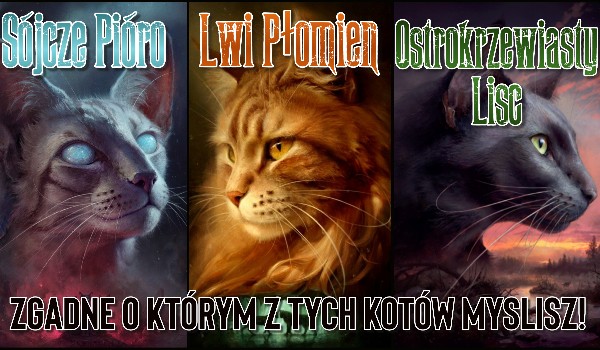 Sójcze Pióro, Lwi Płomień czy Ostrokrzewiasty Liść? Zgadnę o którym kocie z tego rodzeństwa myślisz!