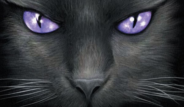 Purplestar’s life |Chapter 2|