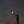 _Kwiatuszek_._