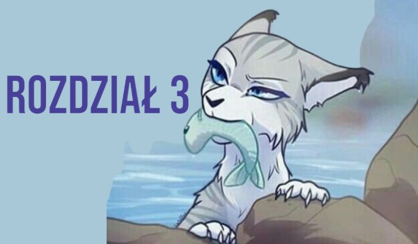 Rozdział 3