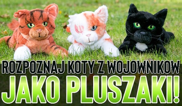 Rozpoznaj koty z ,,Wojowników” jako pluszaki!