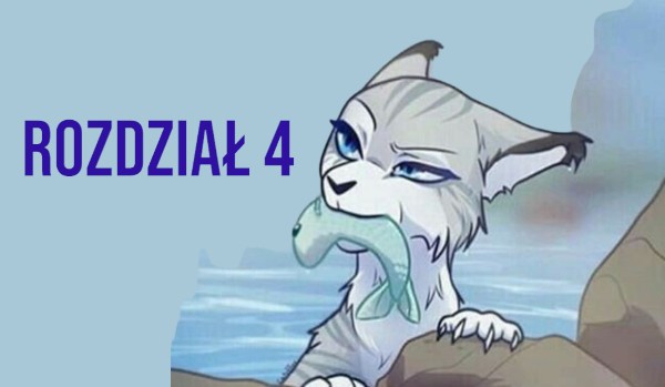 rozdział 4
