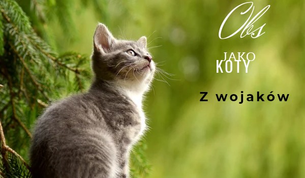 Obs jako koty z wojaków .Kotaru2137.