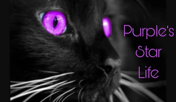 Purplestar’s life |chapter 3|