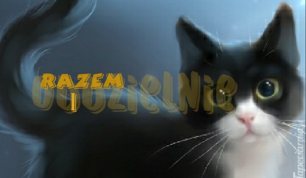 Razem i oddzielnie #1