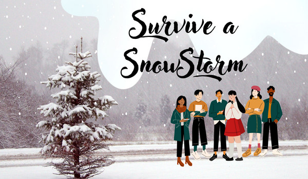 Survive a snowstorm