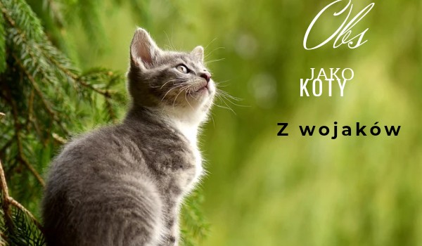 Obs jako koty z wojaków .-.Darkness.Aurora.-.