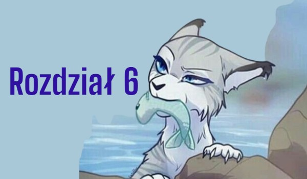 Rozdział 6