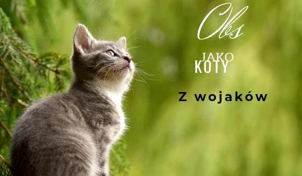 Obs jako koty z wojaków Manuel_Tailor