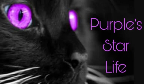Purplestar’s life |Chapter 4|