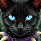 -.Ognista._.Gwiazda.-