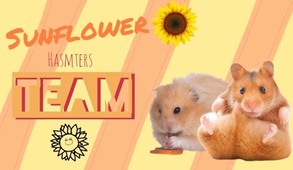 |Sunflower Hamsters Team| Prologue