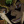 JoJofanUwU