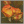Falcoflo
