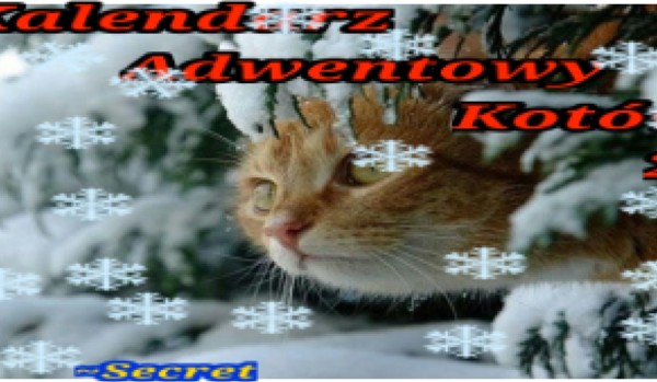 Kalendarz adwentowy kotów 22 – 2 grudnia