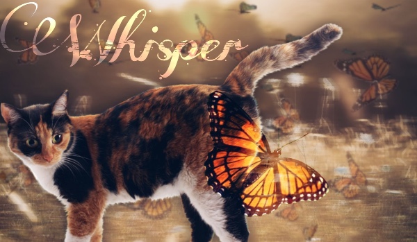 Whisper – |Chapter One|