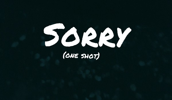 Sorry (one shot)