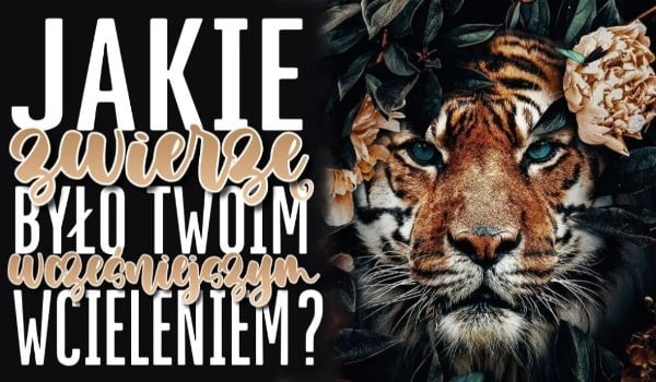 Jakie zwierzę było by twoim wcześniejszym wcieleniem?