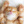 pusia_the_cat