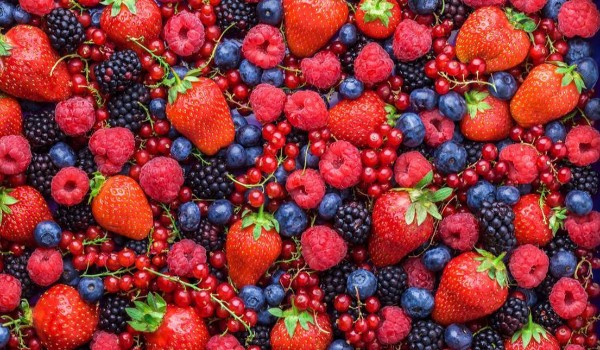 Owoce – biologia leśna