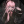 Marvch