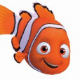 Kox.nemo