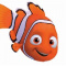 Kox.nemo