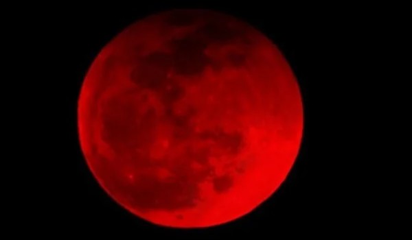 Budowa i funkcje krwi