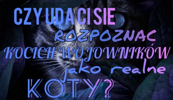 Czy uda ci się rozpoznać Kocich Wojownikó jako realne koty?