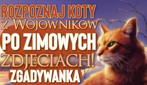 Rozpoznaj koty z ,,Wojowników” po zimowych zdjęciach!