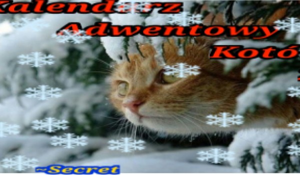 Kalendarz adwentowy kotów 22 – 11 grudnia